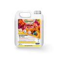 Pack 6 Mantenedor de Pisos Floral 5 Litros - Limpieza y Brillo Duradero
